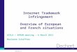 © 2010 Dechert LLP Internet Trademark Infringement Overview of European and French situations AIPLA / APRAM meeting - 6 March 2012 Marianne Schaffner