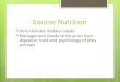 Equine Nutrition  Very delicate dietary needs  Management needs to focus on their digestive tract and psychology of prey animals