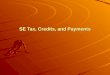 SE Tax, Credits, and Payments. SELF EMPLOYMENT EMPLOYMENT (SE) TAX: (SE) TAX: (MTG Paragraphs 2664-2670) WHAT it is: both the employer and employee portion