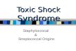 Toxic Shock Syndrome Staphyloccocal & Streptococcal Origins