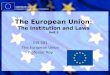 EUROPEAN UNION Delegation of the European Commission The European Union: The Institution and Laws Unit 3 INS 591 The European Union Professor Roy