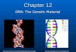 Chapter 12 DNA: The Genetic Material //