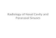 Radiology of Nasal Cavity and Paranasal Sinuses. Radiology XRAY CT MRI