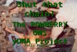 Shut that chain! ~~~~~~~~~~~ The ROWBERRY ONS yDNA Project Polly Rubery © 2011
