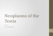 Neoplasms of the Testis Ch. 31 Omar Alhunaidi. Introduction 95% of testicular neoplasms are germ cell tumors (GCTs) GCTs are broadly categorized as seminoma