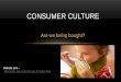 Are we being bought? CONSUMER CULTURE Website Link – 