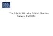 The Ethnic Minority British Election Survey (EMBES)