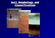 Soil Morphology and Classification. The Language of Soils Loamy, siliceous, hyperthermic grossarenic paleudult Purpose