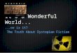 It’s a Wonderful World......or is it? The Truth About Dystopian Fiction