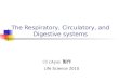 The Respiratory, Circulatory, and Digestive systems Life Science 2010 鄭先祐 (Ayo) 製作