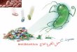 معمل البكتيريا التاسع Antibiotics. تأثير المضادات الحيوية على نمو البكتيريا Effect of Antibiotics on Bacterial Growth المضادات