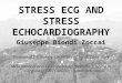 Www.metcardio.org STRESS ECG AND STRESS ECHOCARDIOGRAPHY Giuseppe Biondi Zoccai Division of Cardiology, University of Turin, Turin, Italy Meta-analysis