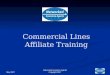 May 2007 Networked Insurance Agents Copyright 2007 Commercial Lines Affiliate Training