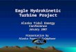 Eagle Hydrokinetic Turbine Project Alaska Tidal Energy Conference January 2007 Presentation by Alaska Power & Telephone