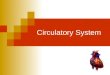 Circulatory System. What Do These Two Systems Have In Common? (Think-Pair-Share) Subway System Circulatory System