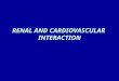RENAL AND CARDIOVASCULAR INTERACTION. Renal blood flow Each kidney weights about 150 grs Blood flow is 400 ml /100gr /min (20-25 % of cardiac output)