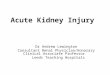 Acute Kidney Injury Dr Andrew Lewington Consultant Renal Physician/Honorary Clinical Associate Professor Leeds Teaching Hospitals