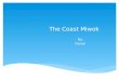 The Coast Miwok By: Daniel. Dedication Page What food did they eat? Where did they live? What religion did they follow? What houses did they live in?