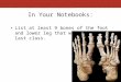 In Your Notebooks: List at least 9 bones of the foot and lower leg that we learned last class