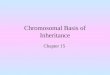 Chromosomal Basis of Inheritance Chapter 15. Objectives Be familiar with patterns of inheritance for autosomal and sex linked genes Understand the concept