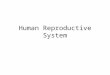 Human Reproductive System. Sexual reproduction Sexual reproduction is the production of offspring from two parents using gametes. The cells of the offspring