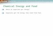 Lesson Overview Lesson Overview Cellular Respiration: An Overview Chemical Energy and Food Where do organisms get energy? Organisms get the energy they