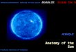 Activity 2: Anatomy of the Sun Swinburne Online Education Exploring the Solar System © Swinburne University of Technology Module 20: Inside the Sun