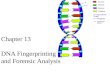 Chapter 13 DNA Fingerprinting and Forensic Analysis