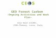GEO Forest Carbon -Ongoing Activities and Work Plan- Alex Held (CSIRO), CEOS-Plenary, Lucca, Italy