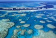 Stopping Industrialisation of the Great Barrier Reef