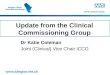 Update from the Clinical Commissioning Group Dr Katie Coleman Joint (Clinical) Vice Chair ICCG