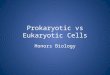 Prokaryotic vs Eukaryotic Cells Honors Biology. 2 LEVELS OF ORGANIZATION Nonliving Levels: 1.ATOM (element) 2.MOLECULE (compounds like carbohydrates &