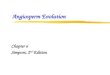 Angiosperm Evolution Chapter 6 Simpson, 2 nd Edition