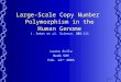 Large-Scale Copy Number Polymorphism in the Human Genome J. Sebat et al. Science, 305:525 Luana Ávila MedG 505 Feb. 24 th 2005 1/24