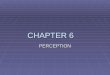 CHAPTER 6 PERCEPTION. Perception  Perception – organizing and interpreting our sensations. (aka Top –down processing)