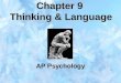 Chapter 9 Thinking & Language AP Psychology. THINKING AND LANGUAGE  Both Thinking and Language are Cognitive Activities.  Cognitive Activity refers