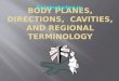 An Introduction to.  Anatomic reference systems describe the location and functions of body parts. The basic reference systems are:  body planes  body