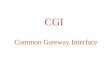 CGI Common Gateway Interface. CGI is the scheme to interface other programs to the Web Server