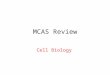 MCAS Review Cell Biology. 2 Simple or Complex Cells copyright cmassengale