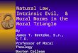 Natural Law, Intrinsic Evil, & Moral Norms in the Moral Triangle By James T. Bretzke, S.J., S.T.D. Professor of Moral Theology Boston College bretzke@bc.edu