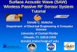 Surface Acoustic Wave (SAW) Wireless Passive RF Sensor System Tutorial 1