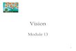 1 Vision Module 13. 2 Vision  The Stimulus Input: Light Energy  The Eye  Visual Information Processing  Color Vision