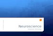 Neuroscience Introduction / Terminology Dr. Michael P. Gillespie