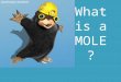 What is a MOLE?. There are 12 items in a dozen There are 144 items in a gross of any substance