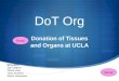 DoT Org Donation of Tissues and Organs at UCLA Directors: Jay Chittoor Diana Lazo Jose Jimenez Alexis Velazquez Donor