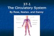 37-1 The Circulatory System By Rose, Keelan, and Danny