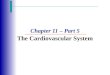 Chapter 11 – Part 5 The Cardiovascular System. Vital Signs  The following measurements are referred to collectively as vital signs in clinical settings: