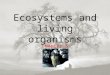 Ecosystems and living organisms Chapter 5. Evolution: populations change Evolution: genetic change over time Charles Darwin: traits favorable to survival