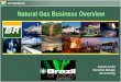° ° Natural Gas Business Overview Antonio Castro Executive Manager Gas & Energy