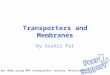 Transporters and Membranes By Sushil Pal Slides made using WMS transporters lecture, Molecules